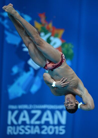 16th FINA World Championships. Diving. 10m Platform Men Preliminary
