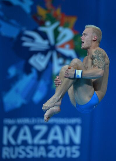 16th FINA World Championships. Diving. 10m Platform Men Preliminary