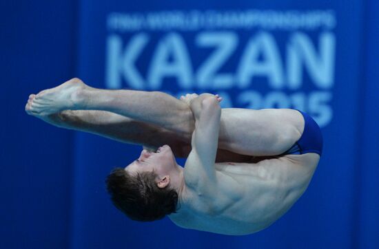 16th FINA World Championships. Diving. 10m Platform Men Preliminary