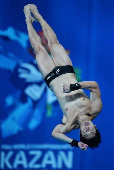 16th FINA World Championships. Diving. 10m Platform Men Preliminary