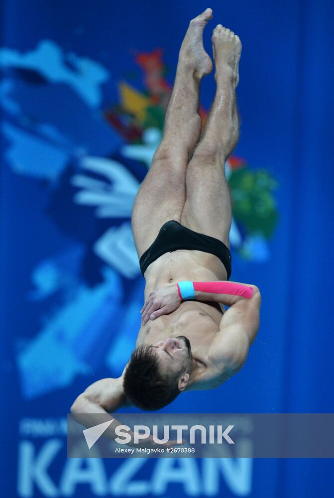 16th FINA World Championships. Diving. 10m Platform Men Preliminary