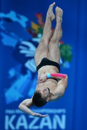 16th FINA World Championships. Diving. 10m Platform Men Preliminary
