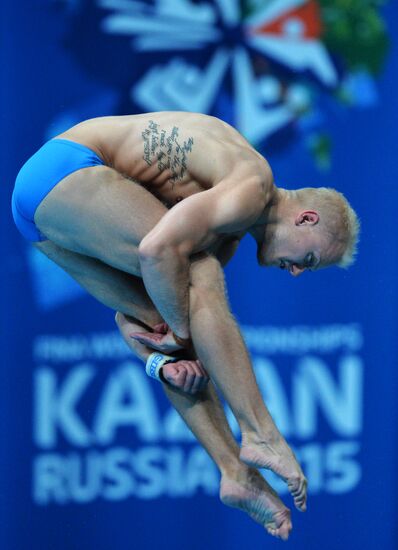 16th FINA World Championships. Diving. 10m Platform Men Preliminary