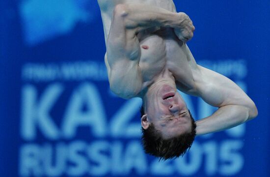 16th FINA World Championships. Diving. 10m Platform Men Preliminary