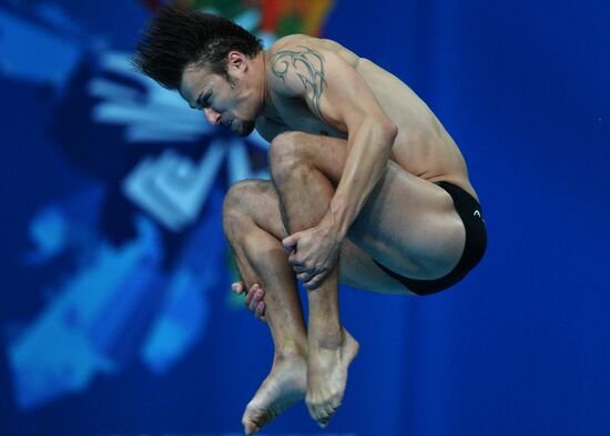 16th FINA World Championships. Diving. 10m Platform Men Preliminary