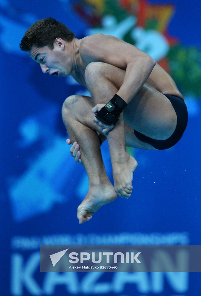 2015 FINA World Championships. Diving. Men. 10m platform. Preliminary round