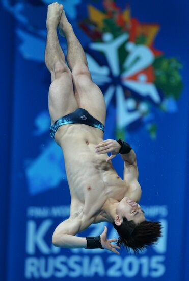 2015 FINA World Championships. Diving. Men. 10m platform. Preliminary round