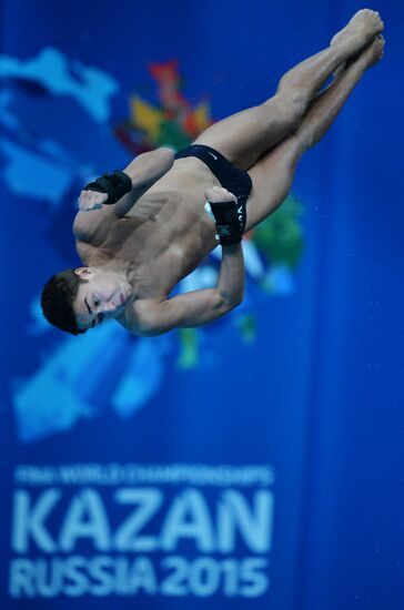 2015 FINA World Championships. Diving. Men. 10m platform. Preliminary round