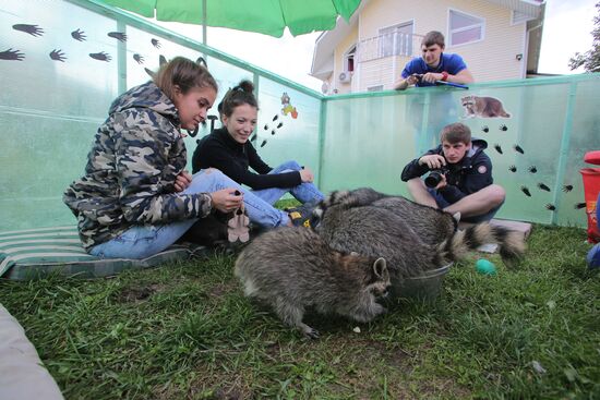 The Raccoon House outside Moscow