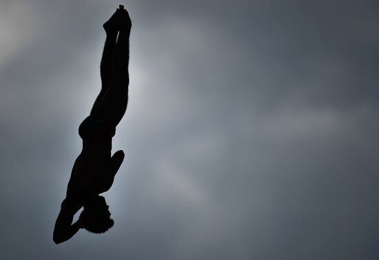 FINA 2015 World Championships. High Diving. Training sessions