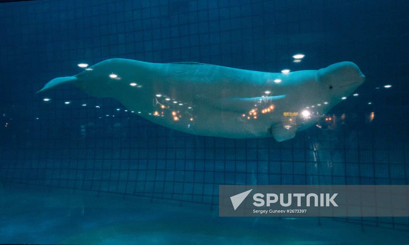 Mosquarium Center of Oceanography and Marine Biology at VDNKh