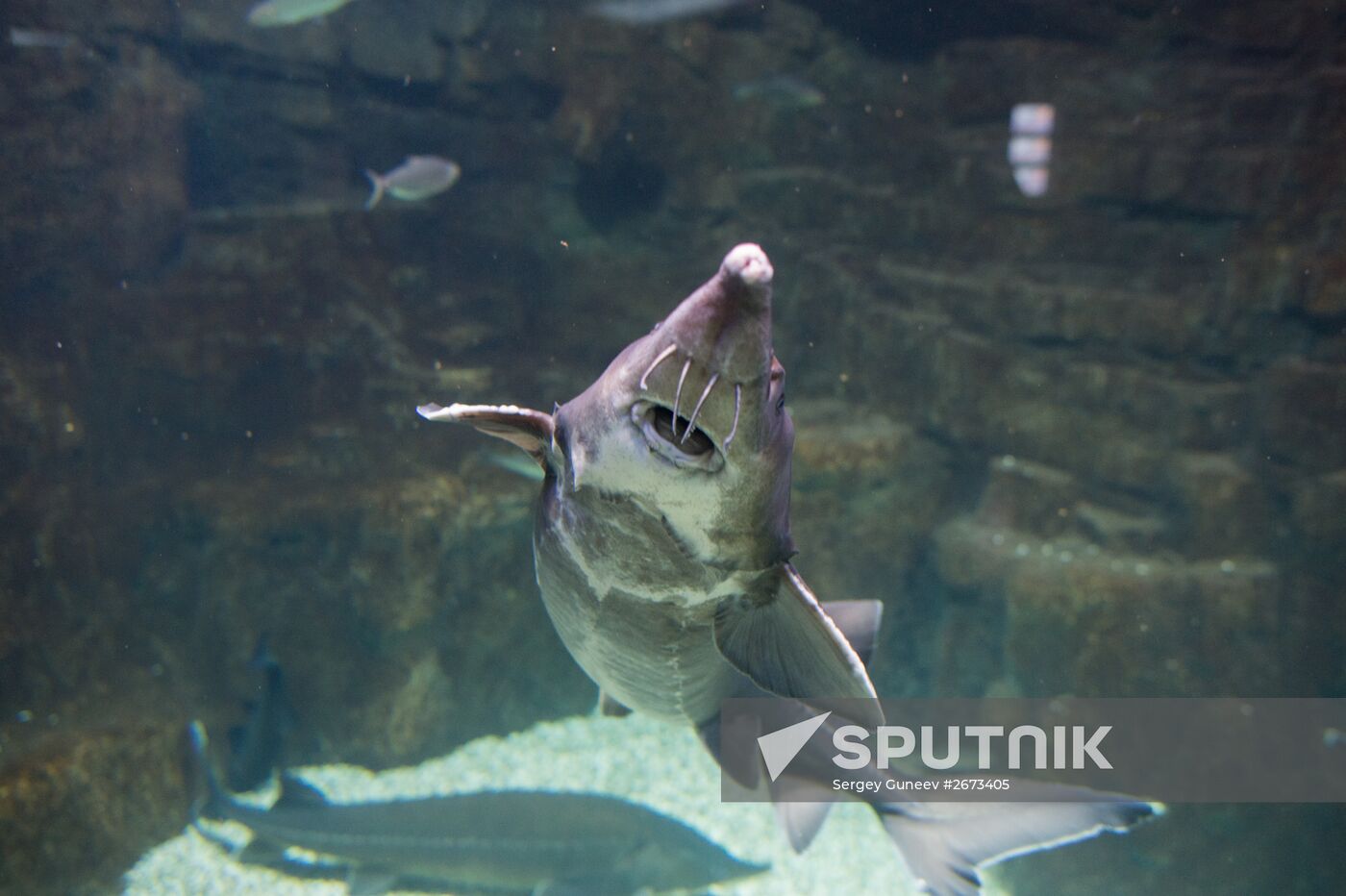 Mosquarium Center of Oceanography and Marine Biology at VDNKh