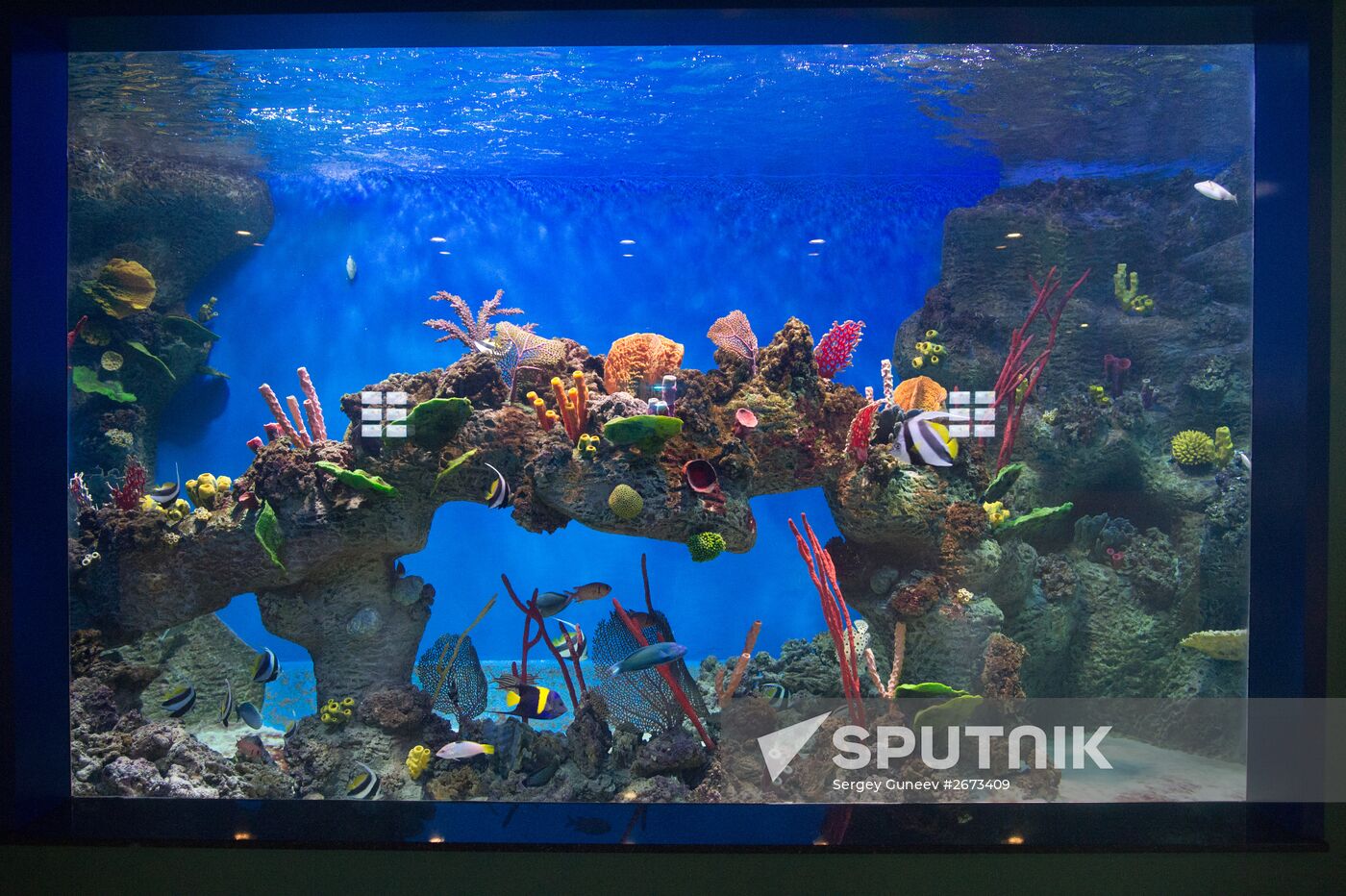 Mosquarium Center of Oceanography and Marine Biology at VDNKh