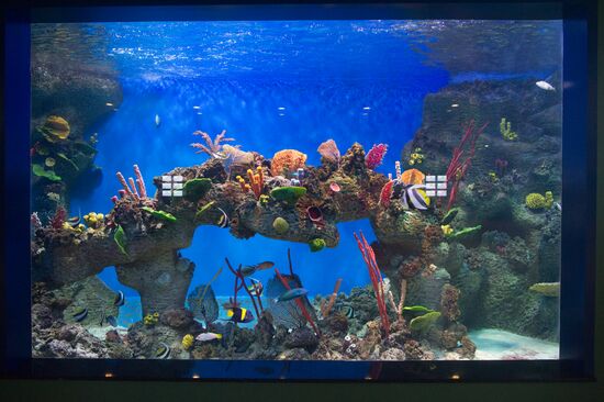 Mosquarium Center of Oceanography and Marine Biology at VDNKh