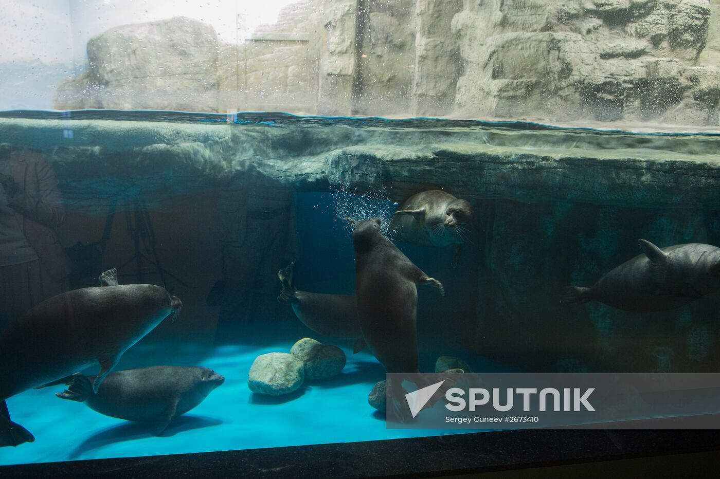 Mosquarium Center of Oceanography and Marine Biology at VDNKh