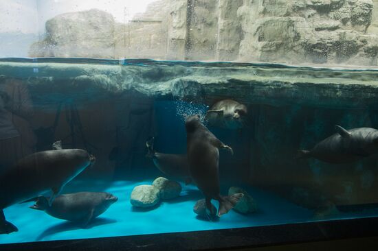 Mosquarium Center of Oceanography and Marine Biology at VDNKh