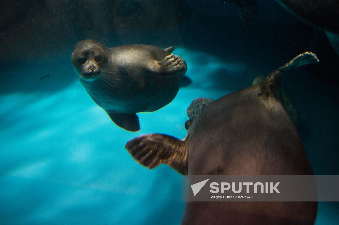 Mosquarium Center of Oceanography and Marine Biology at VDNKh
