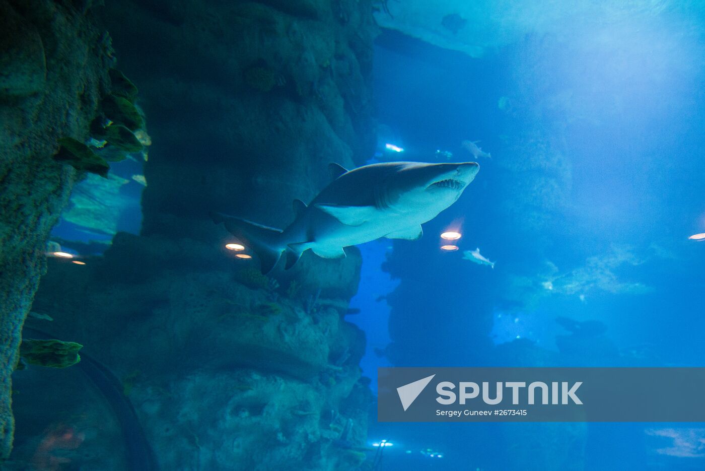 Mosquarium Center of Oceanography and Marine Biology at VDNKh