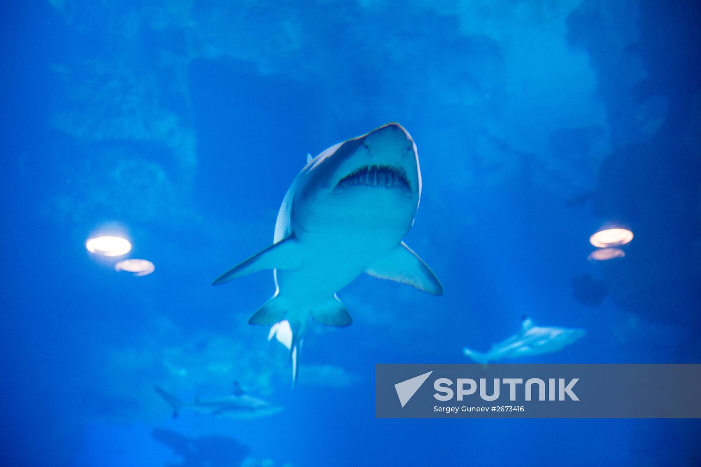 Mosquarium Center of Oceanography and Marine Biology at VDNKh