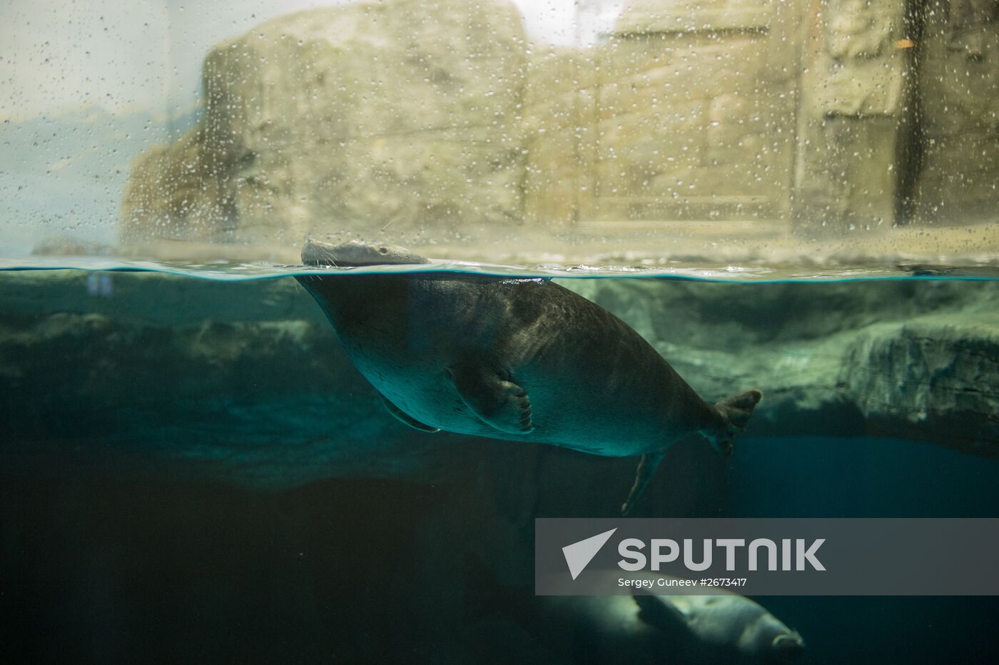 Mosquarium Center of Oceanography and Marine Biology at VDNKh