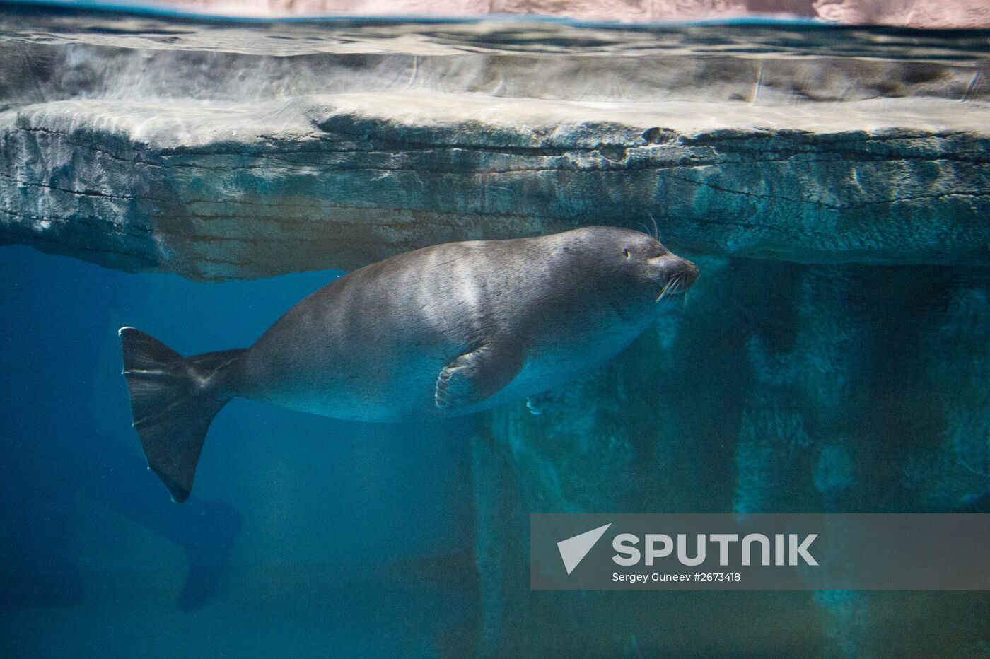 Mosquarium Center of Oceanography and Marine Biology at VDNKh
