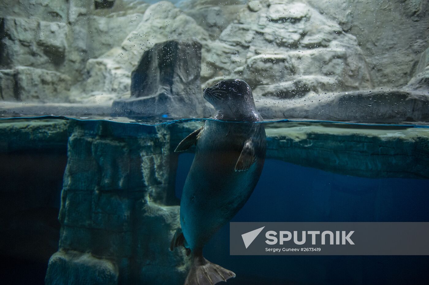 Mosquarium Center of Oceanography and Marine Biology at VDNKh