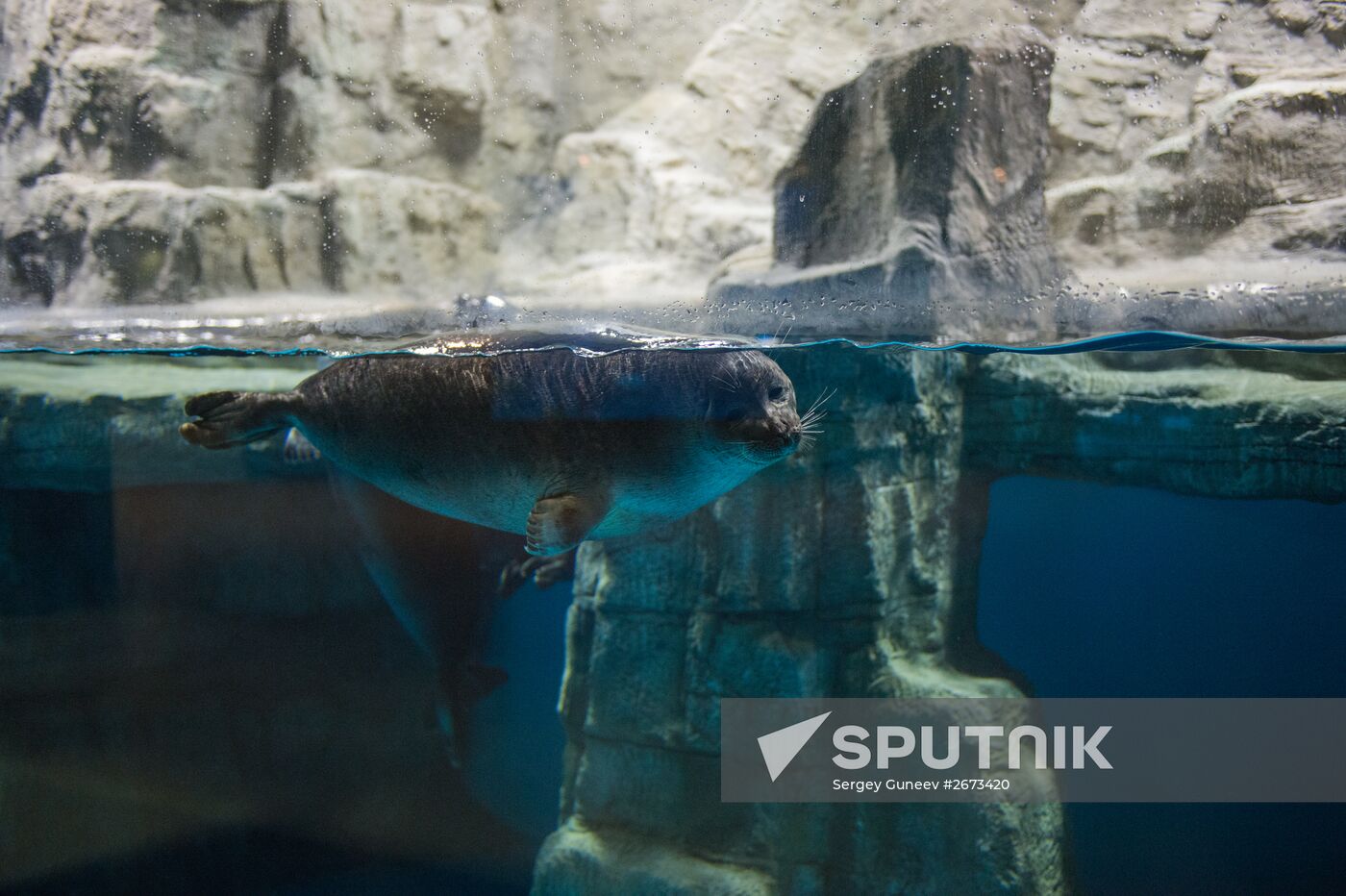 Mosquarium Center of Oceanography and Marine Biology at VDNKh
