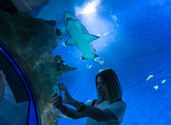 Moskvarium Center of Oceanography and Marine Biology opens at Moscow's VDNKh
