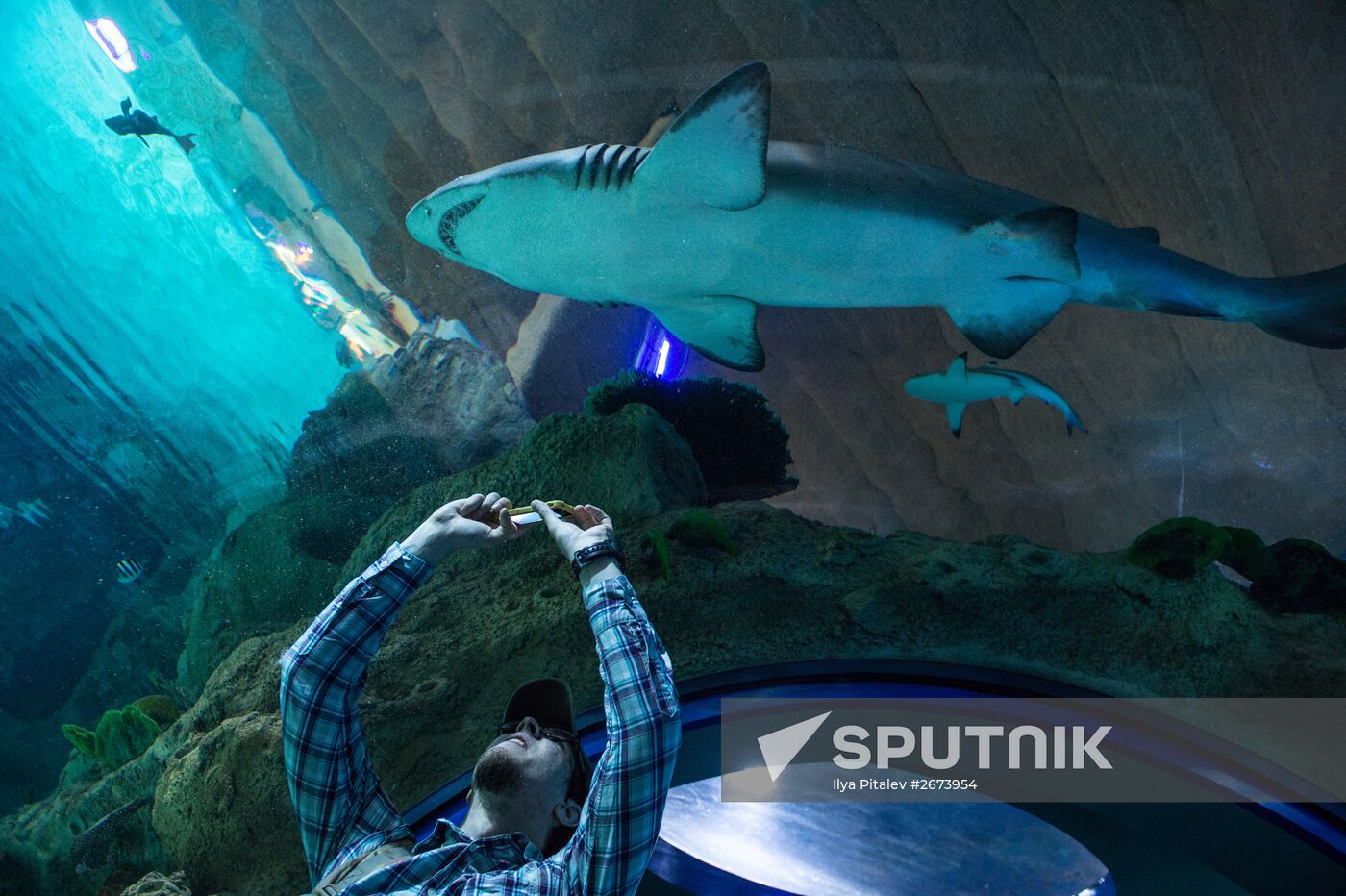 Moskvarium Center of Oceanography and Marine Biology opens at Moscow's VDNKh