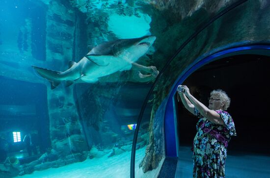 Moskvarium Center of Oceanography and Marine Biology opens at Moscow's VDNKh