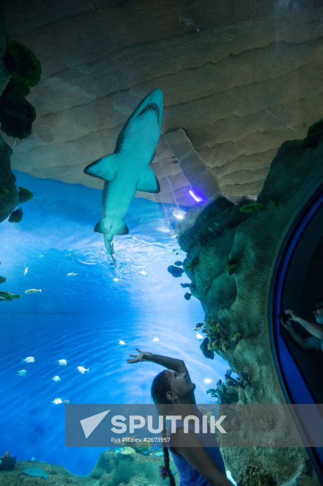 Moskvarium Center of Oceanography and Marine Biology opens at Moscow's VDNKh