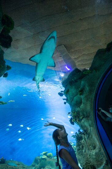 Moskvarium Center of Oceanography and Marine Biology opens at Moscow's VDNKh