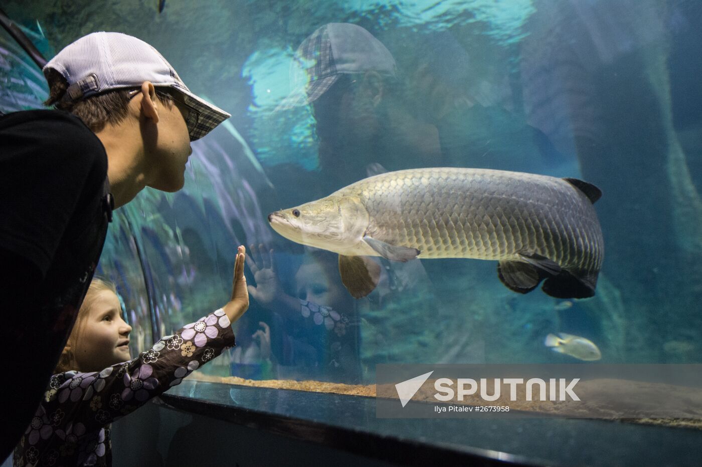 Moskvarium Center of Oceanography and Marine Biology opens at Moscow's VDNKh