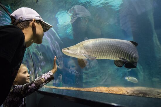 Moskvarium Center of Oceanography and Marine Biology opens at Moscow's VDNKh