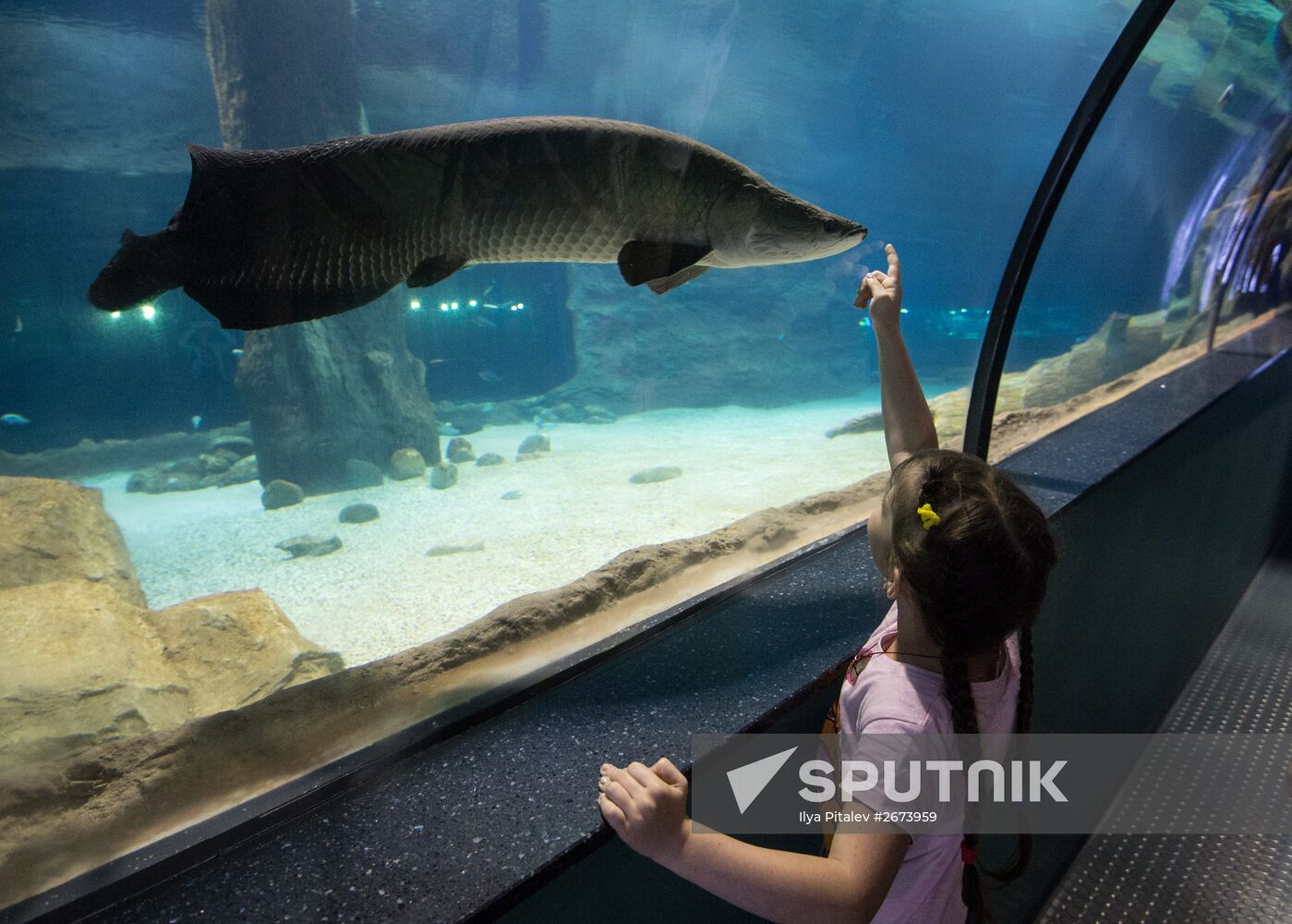 Moskvarium Center of Oceanography and Marine Biology opens at Moscow's VDNKh