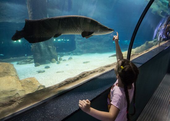 Moskvarium Center of Oceanography and Marine Biology opens at Moscow's VDNKh