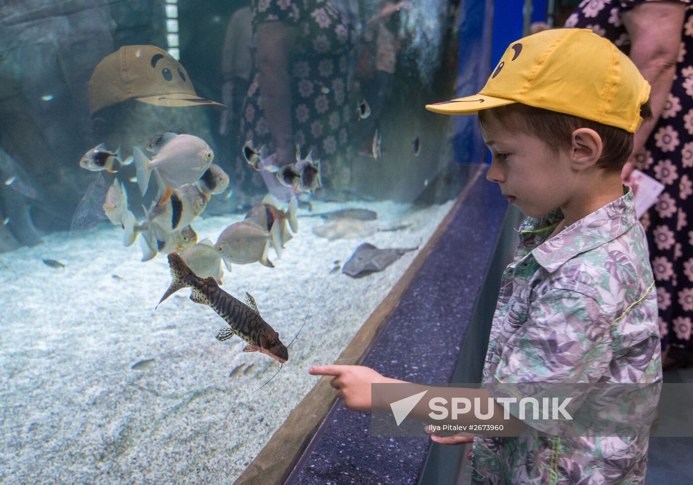 Moskvarium Center of Oceanography and Marine Biology opens at Moscow's VDNKh