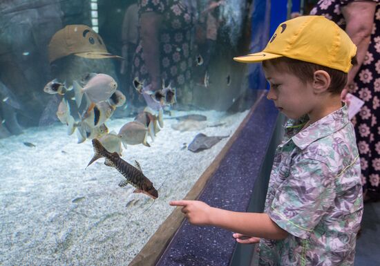 Moskvarium Center of Oceanography and Marine Biology opens at Moscow's VDNKh