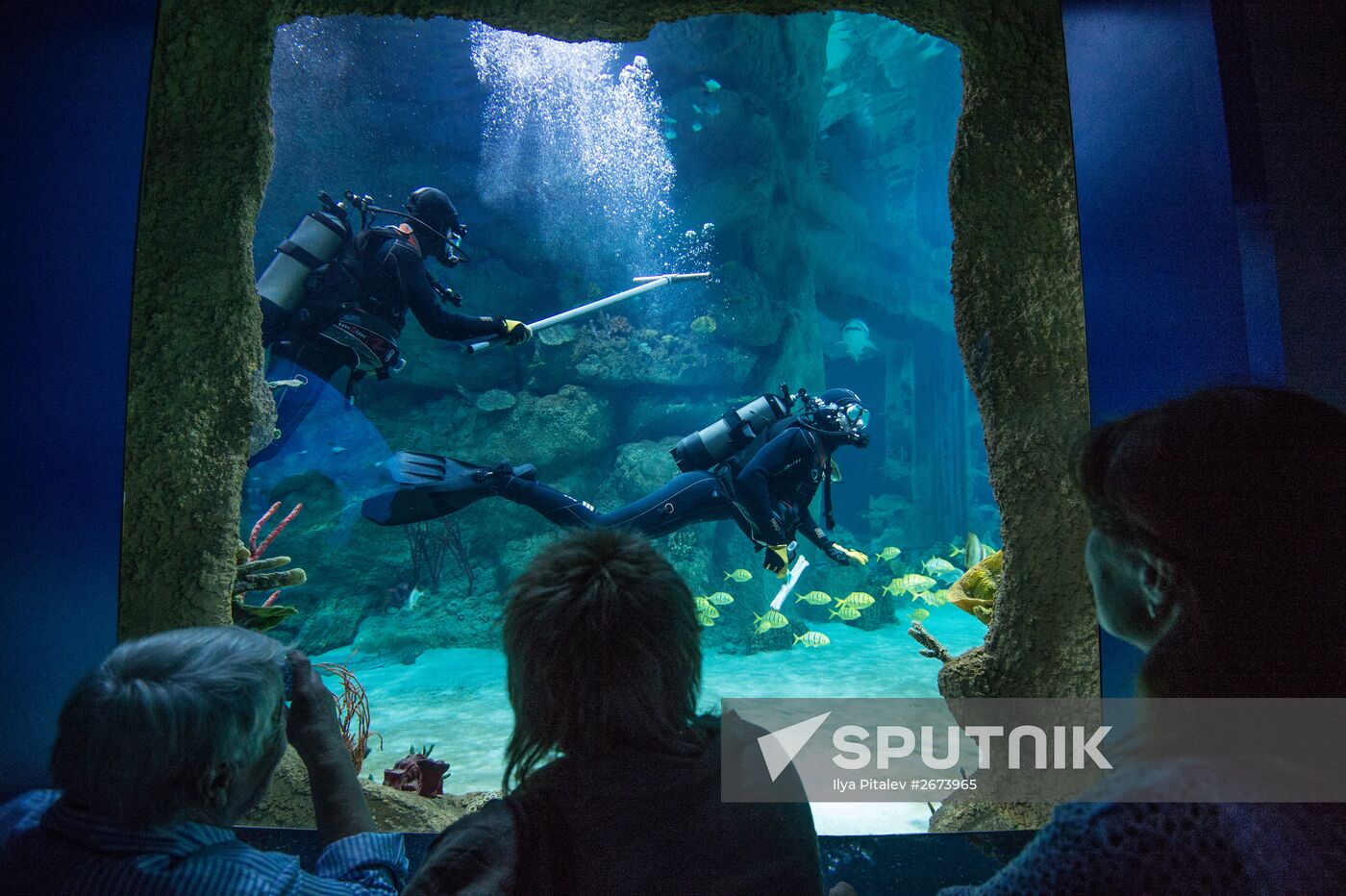 Moskvarium Center of Oceanography and Marine Biology opens at Moscow's VDNKh