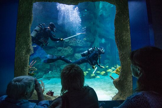 Moskvarium Center of Oceanography and Marine Biology opens at Moscow's VDNKh