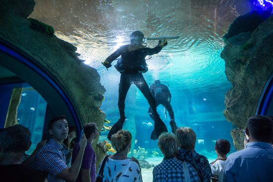 Moskvarium Center of Oceanography and Marine Biology opens at Moscow's VDNKh