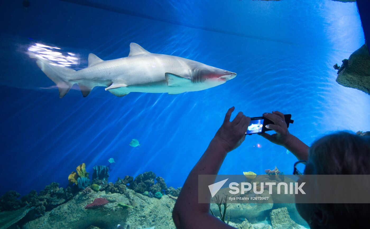 Moskvarium Center of Oceanography and Marine Biology opens at Moscow's VDNKh