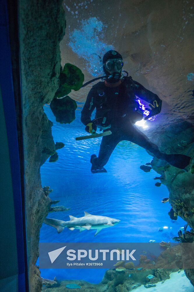 Moskvarium Center of Oceanography and Marine Biology opens at Moscow's VDNKh