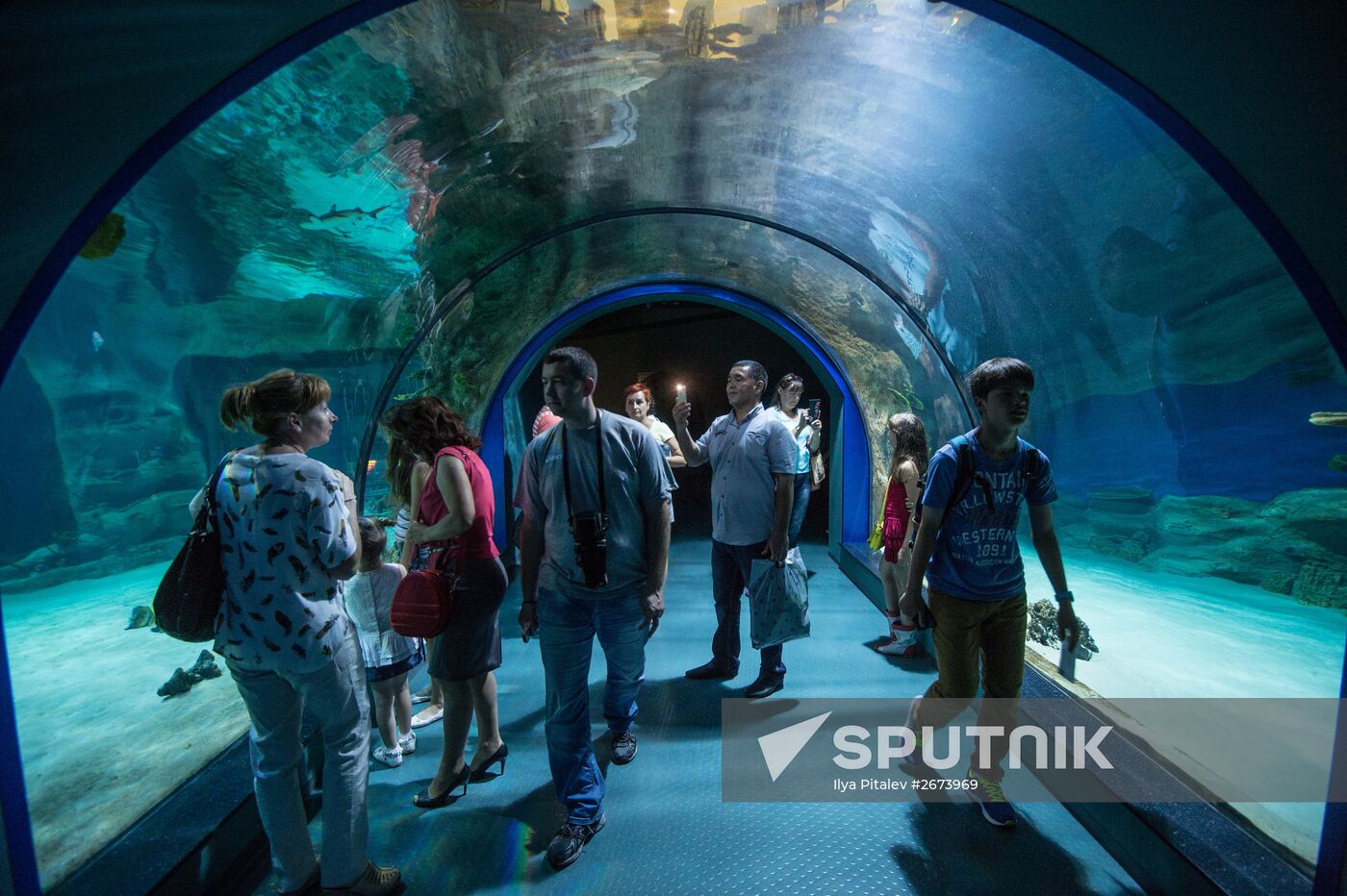 Moskvarium Center of Oceanography and Marine Biology opens at Moscow's VDNKh