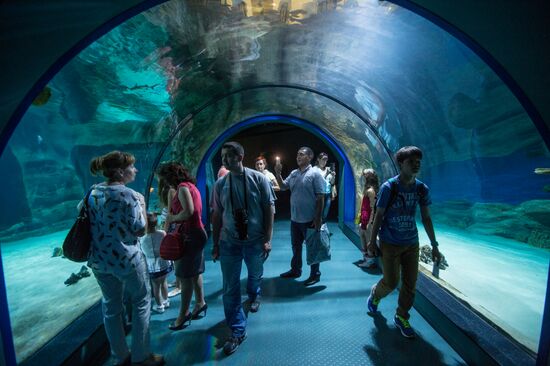 Moskvarium Center of Oceanography and Marine Biology opens at Moscow's VDNKh