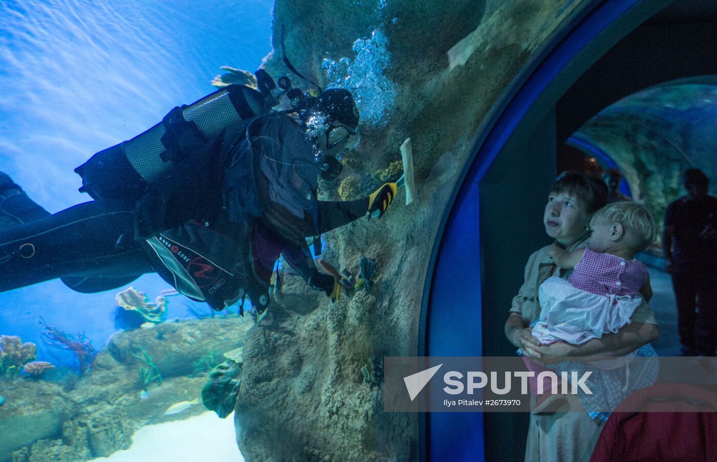 Moskvarium Center of Oceanography and Marine Biology opens at Moscow's VDNKh