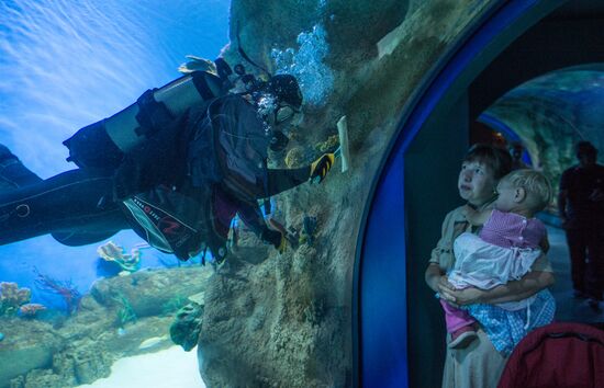 Moskvarium Center of Oceanography and Marine Biology opens at Moscow's VDNKh