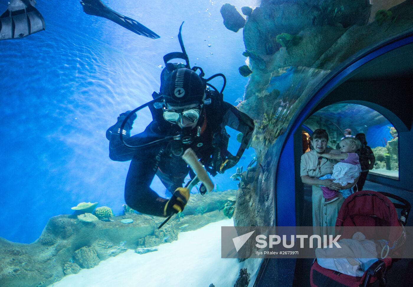 Moskvarium Center of Oceanography and Marine Biology opens at Moscow's VDNKh