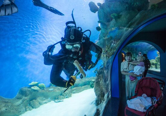 Moskvarium Center of Oceanography and Marine Biology opens at Moscow's VDNKh