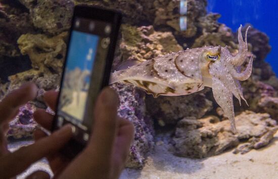 Moskvarium Center of Oceanography and Marine Biology opens at Moscow's VDNKh